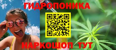 дмт Донской