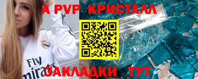 дмт Донской